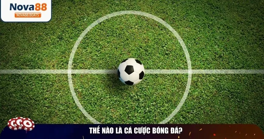 Khái niệm cá cược bóng đá