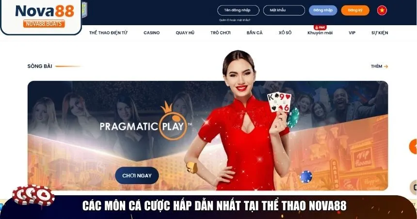 Các môn cá cược hấp dẫn nhất tại thể thao Nova88