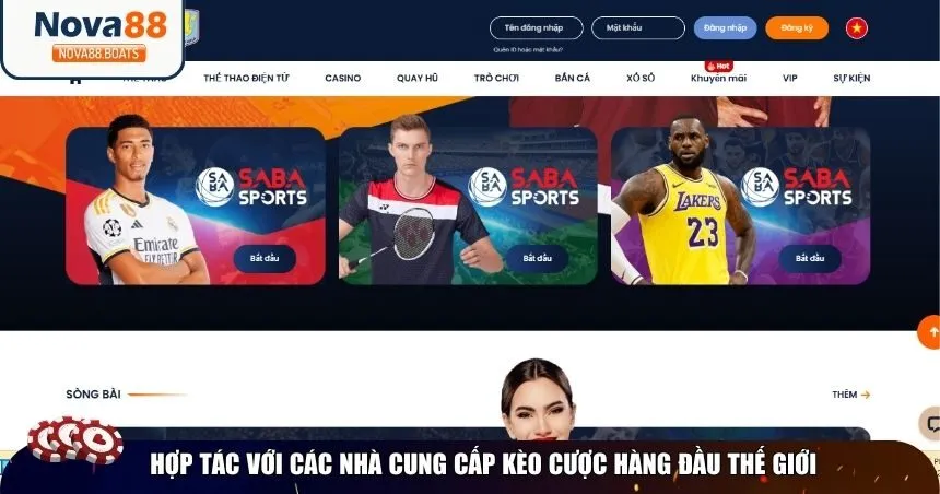 Hợp tác với các nhà cung cấp kèo cược hàng đầu thế giới