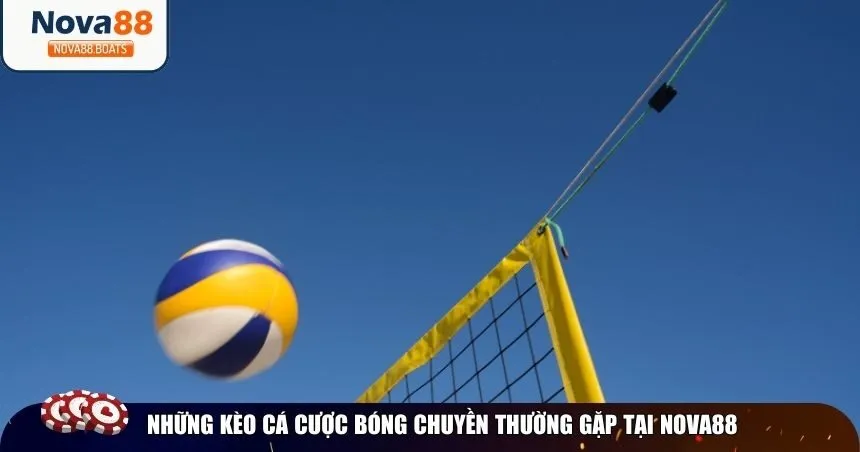 Những kèo cá cược bóng chuyền thường gặp tại Nova88
