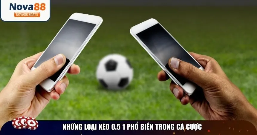 Những loại kèo 0.5 1 phổ biến trong cá cược